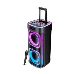 boAt PartyPal 700-300W W/L Mic